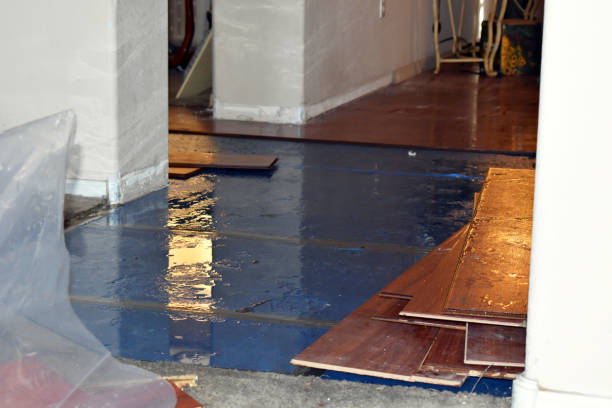 Professional Burst Pipe Cleanup technician working in Brunswick, ME